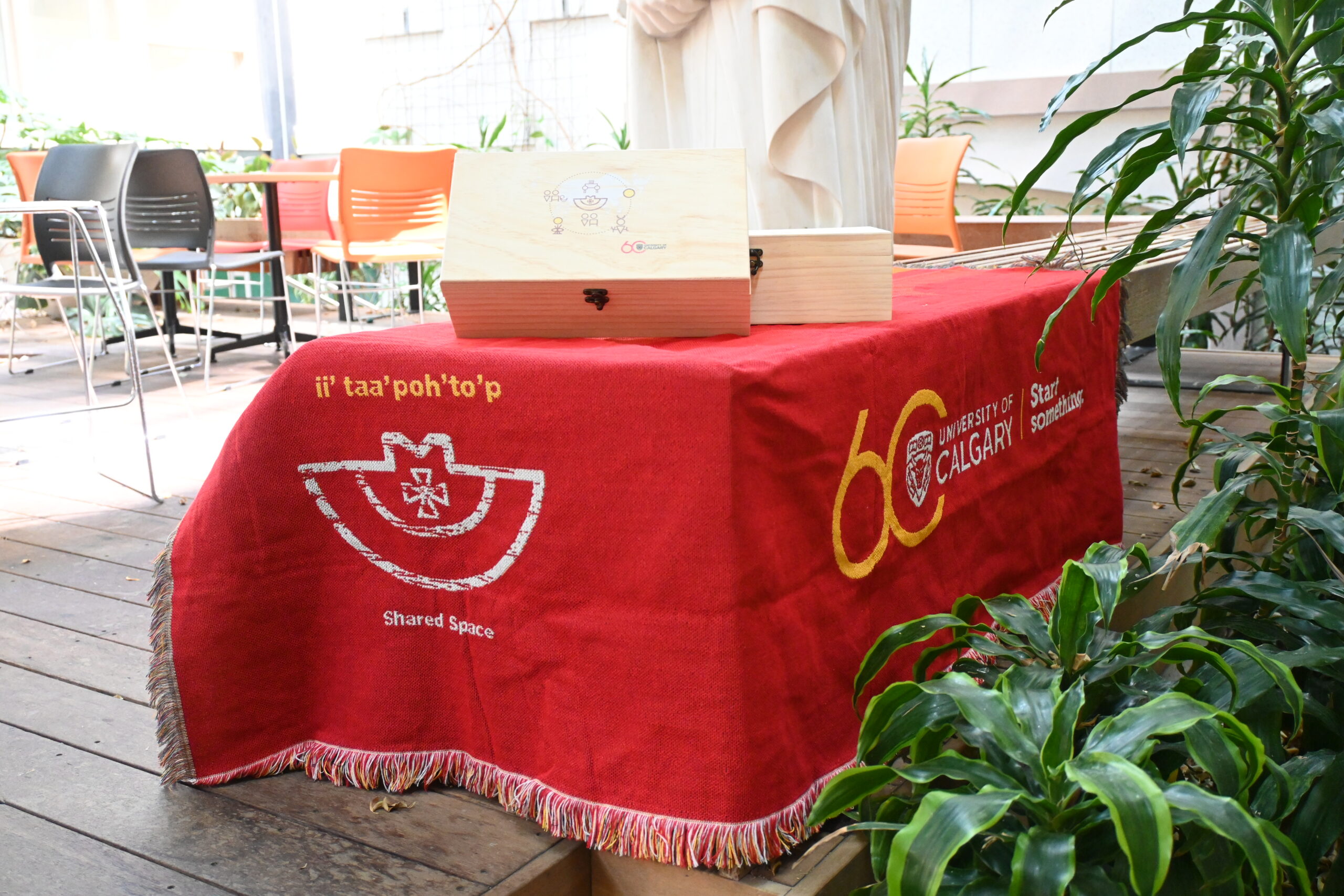 UCalgary 60 Box